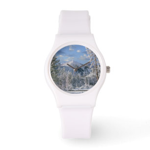 Winter in Yellowstone National Park, Wyoming Watch