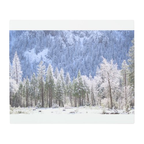 Winter in Yosemite Metal Print