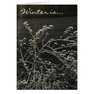 Winter Is Cards