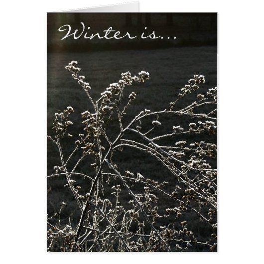 Winter Is Cards (Front)