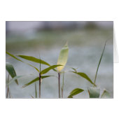 winter is coming (Front Horizontal)