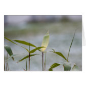 winter is coming (Front Horizontal)