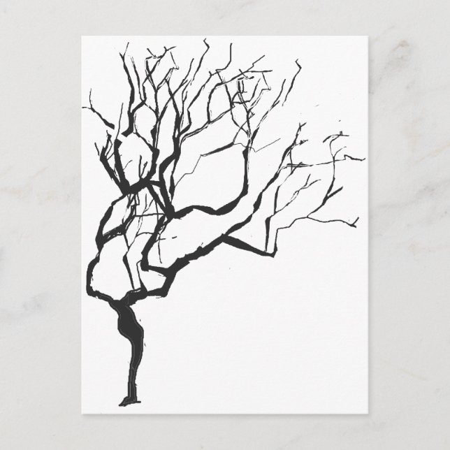 Winter is Coming Drawing Minimalism  Wintery Tree Postcard (Front)