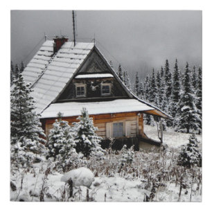 Winter Isolation scene Faux Canvas Print