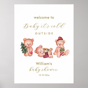 Winter It's Cold Outside Bear Baby Shower Welcome  Poster