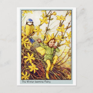 Winter Jasmine  Fairy Postcard
