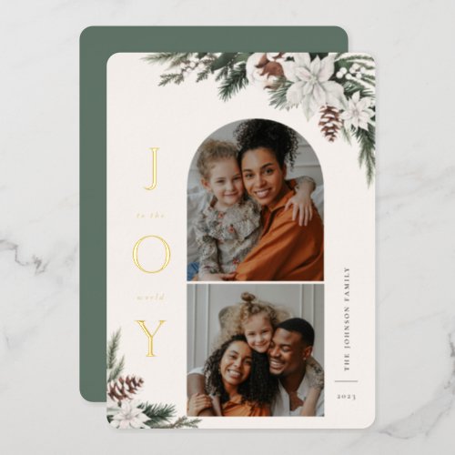 Winter Joy 2 Photo Family Foil Holiday Card