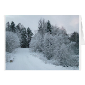 winter joy snowy road estonia cards