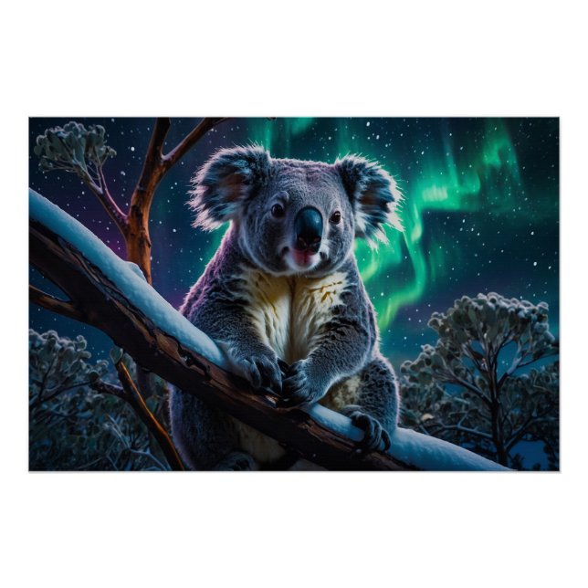 Winter Koala and Southern Lights Poster (Front)