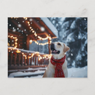 Winter Labrador Christmas Card