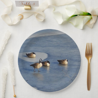 Winter Lake Geese and Goose Ice Napping Paper Plates