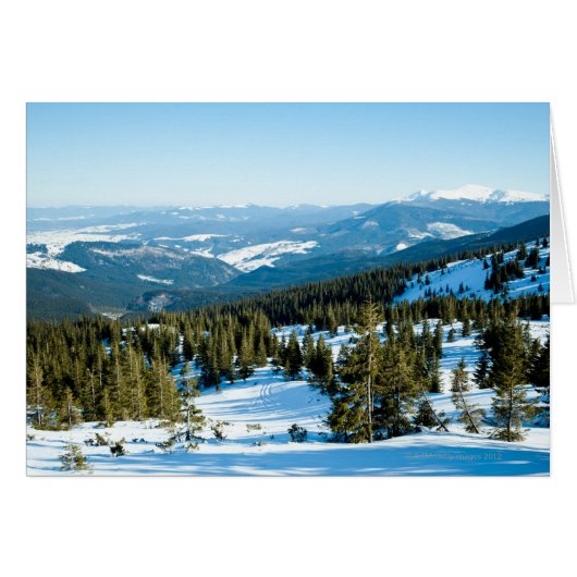 Winter land 2 cards (Front Horizontal)