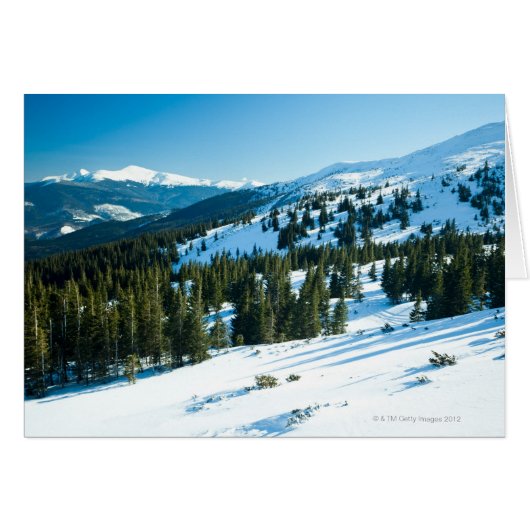 Winter land 3 cards (Front Horizontal)