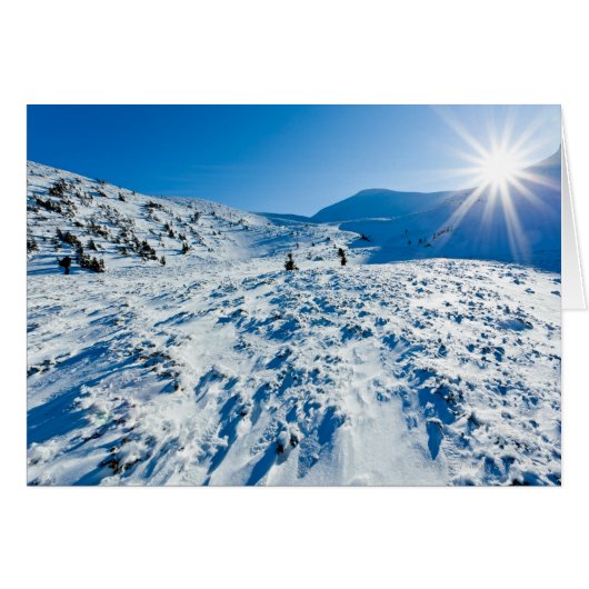 Winter land cards (Front Horizontal)