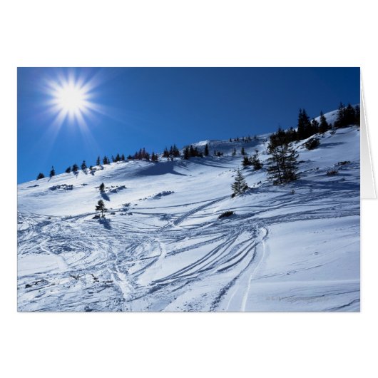 Winter land Winter sun Cards (Front Horizontal)