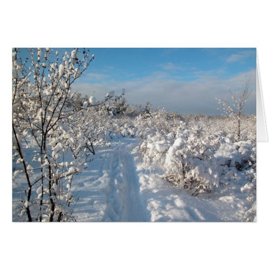 Winter Landscape Cards (Front Horizontal)