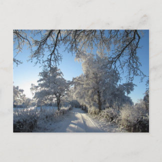 Winter Landscape: Cheshire Postcard