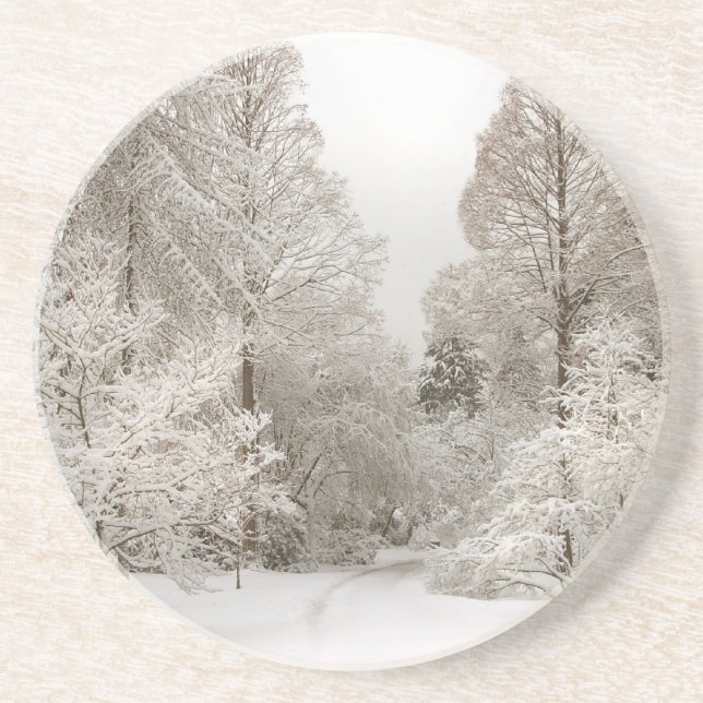 Winter Landscape Coaster Snow Covered Forest Gift (Front)