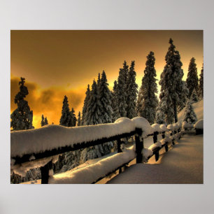 Winter Landscape Fence Photo Nature Wall Poster