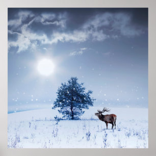 Winter landscape in blue color. Lonely tree and wi Poster