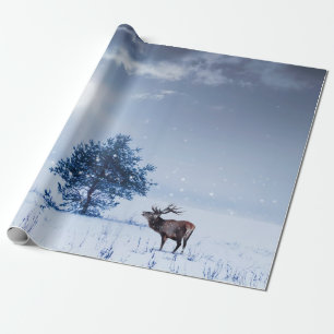 Winter landscape in blue color. Lonely tree and wi Wrapping Paper