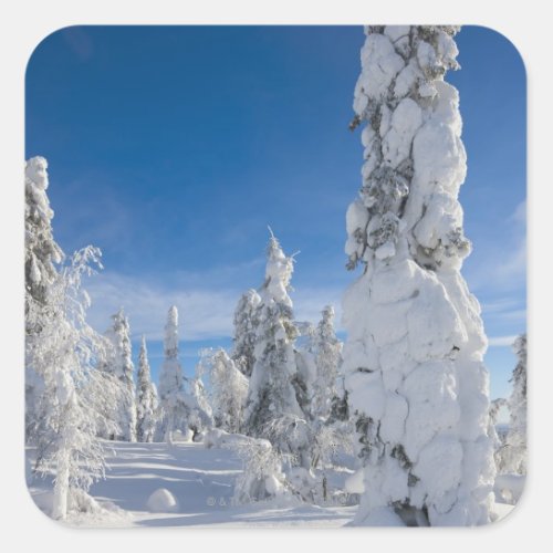Winter landscape in Lappland Square Sticker