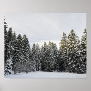Winter Landscape near Koenigsfeld, Black Forest, Poster