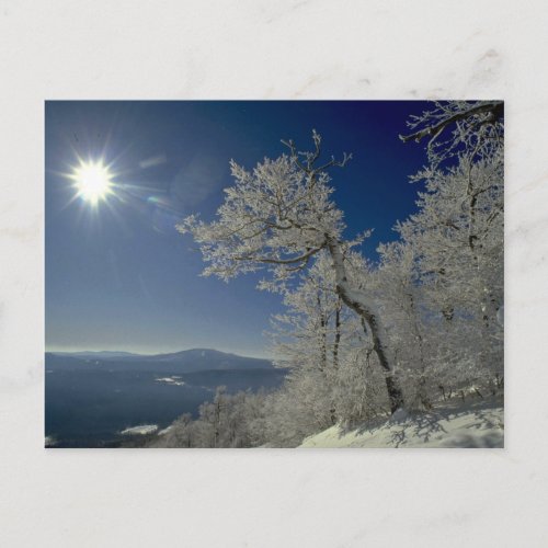 Winter landscape New England Postcard