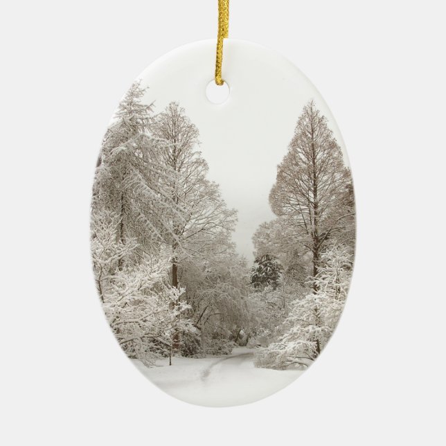 Winter Landscape Ornament  Snow Trees Decorations (Front)
