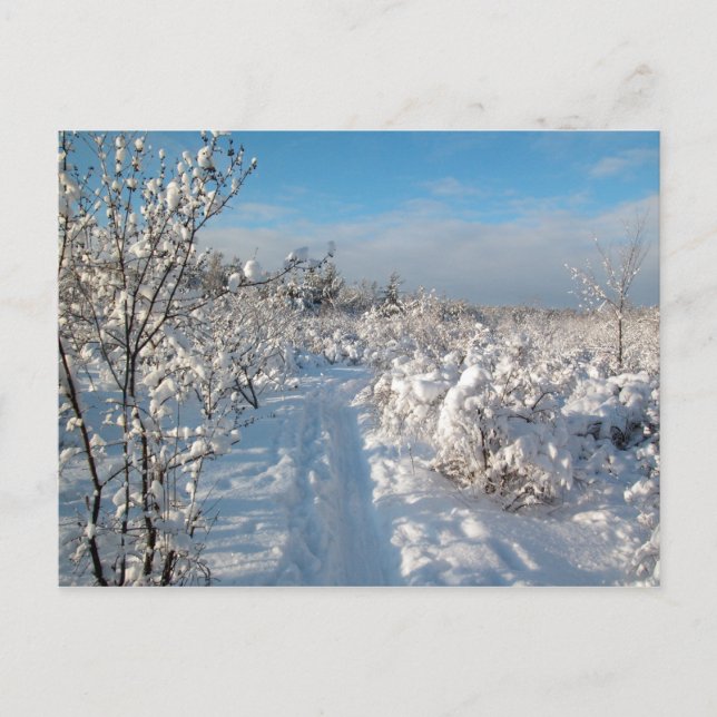 Winter Landscape - Postcard (Front)