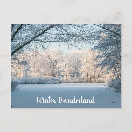 Winter Landscape Postcard