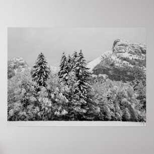 Winter landscape poster