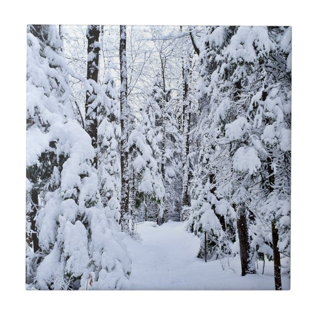 Winter Landscape Snow in Forest Ceramic Tile (Front)