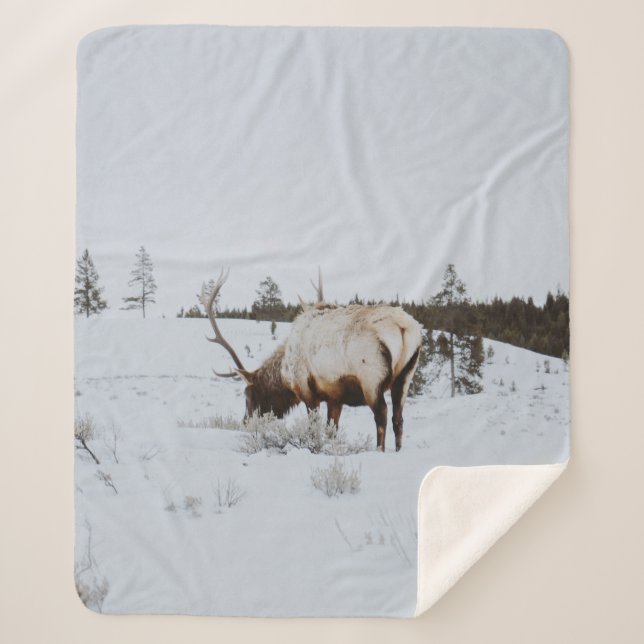WINTER LANDSCAPE WITH A DEER SHERPA BLANKET (Front)