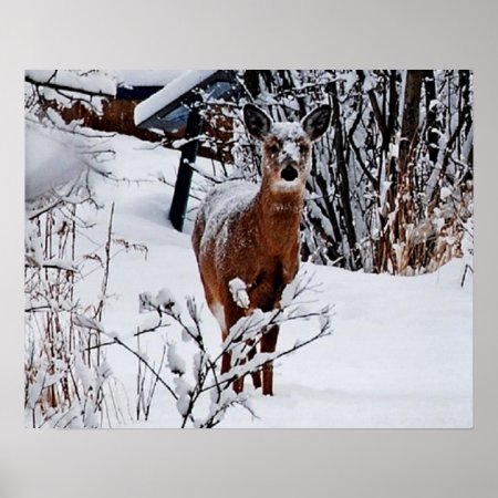 Winter Landscape With Deer Value Poster Paper