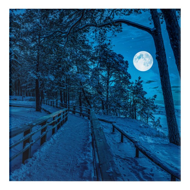 Winter landscape with snow covered pine forest acrylic print (Front)