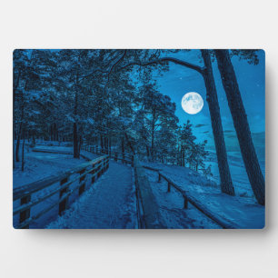 Winter landscape with snow covered pine forest plaque
