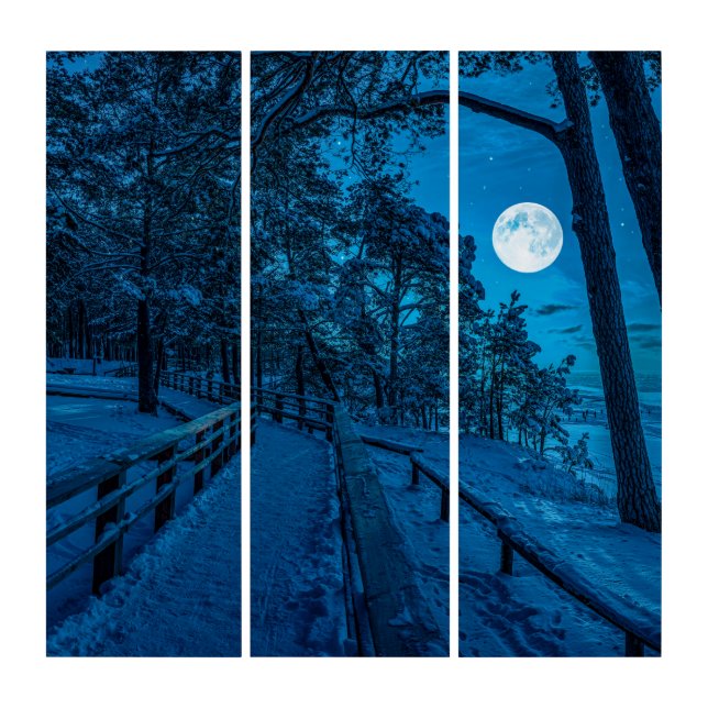 Winter landscape with snow covered pine forest triptych (Front)