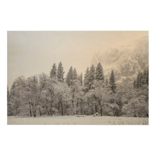 Winter Landscape Wood Wall Art