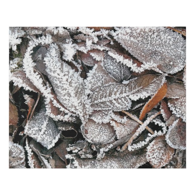WINTER LEAVES FAUX CANVAS PRINT (Front)
