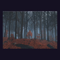 Winter Leaves Photo Print