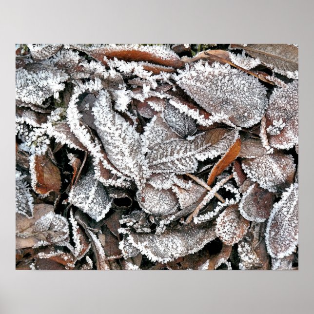 WINTER LEAVES POSTER (Front)