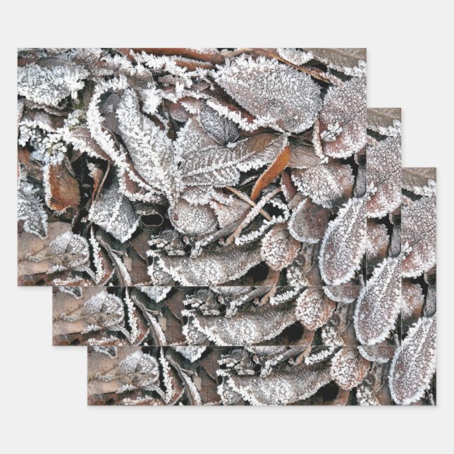 WINTER LEAVES WRAPPING PAPER SHEETS (Set)