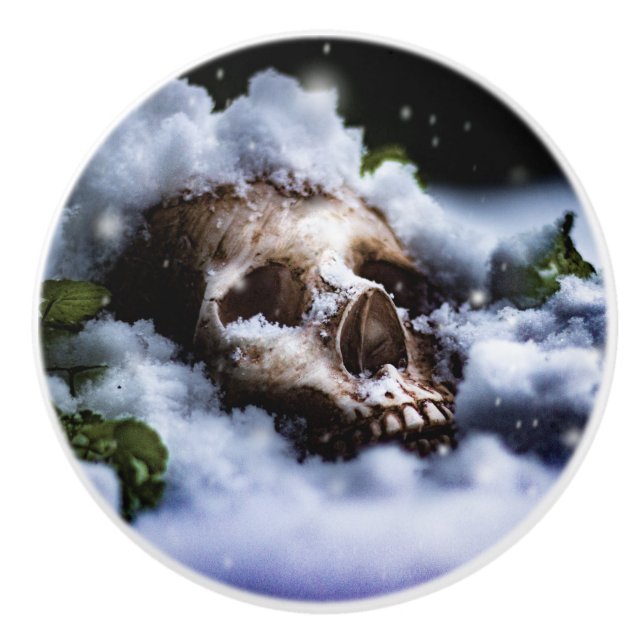 Winter Life IV Ceramic Knob (Front)