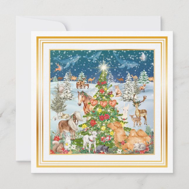 Winter Light Note Card (Front)