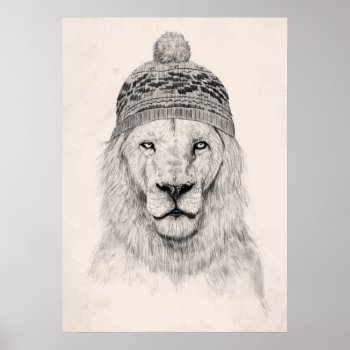Winter Lion (bw) Poster by bsolti at Zazzle