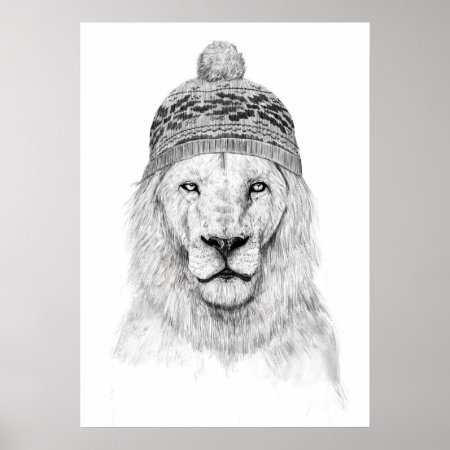 Winter Lion (bw) Poster