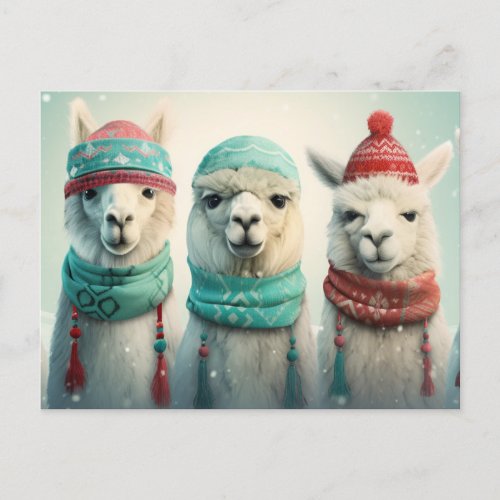 Winter Llamas Holiday Postcard