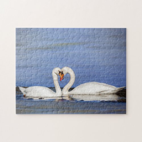 Winter Love Swan Puzzle