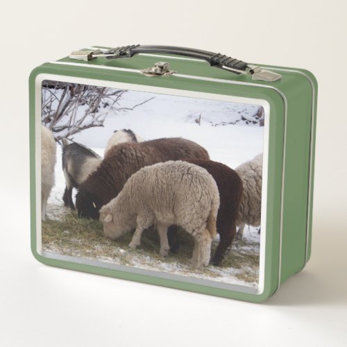 Winter Lunch for Sheep Metal Lunch Box